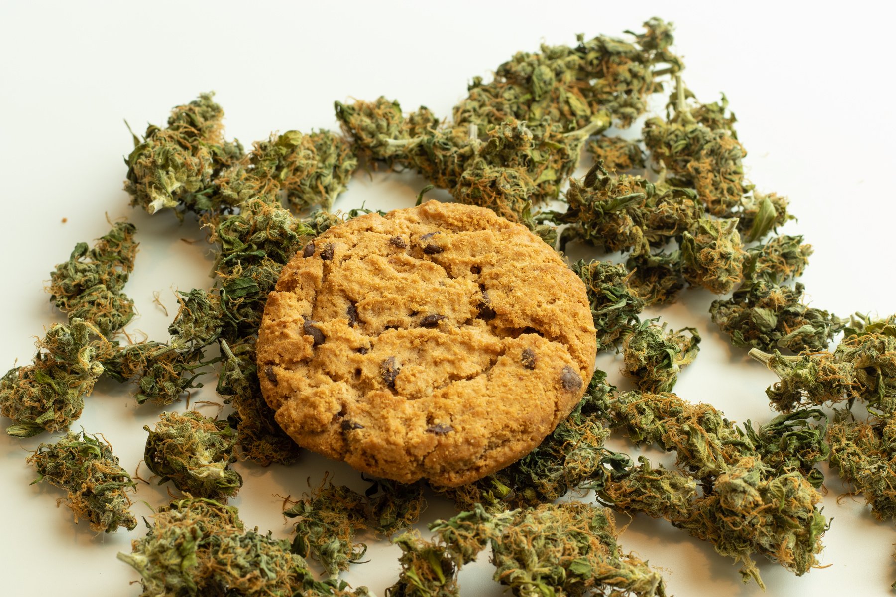 Cannabis Cookie on Marijuana Buds Top View. Cannabis Product Edible